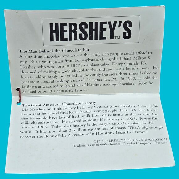 1995 Hershey's Teddy Bear Jointed Vintage 11" Plush with Tags by Douglas Company - Picture 13 of 14